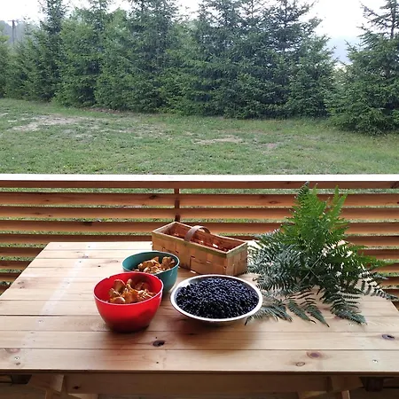 בית נופש Kajaki Wda Karsin