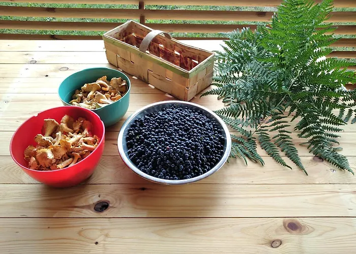 Сasa de vacaciones Kajaki Wda Karsin